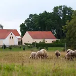 Otel Stein