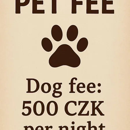 Ξενοδοχείο Stein