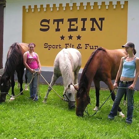 Stein 3* ヘプ