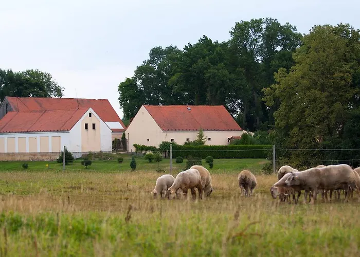 Otel Stein