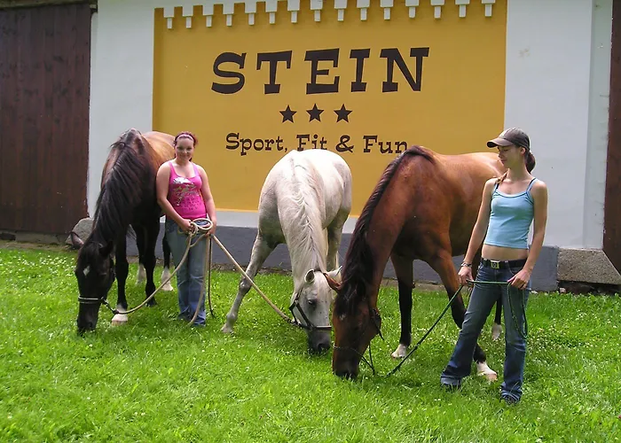 Stein 3* Cheb