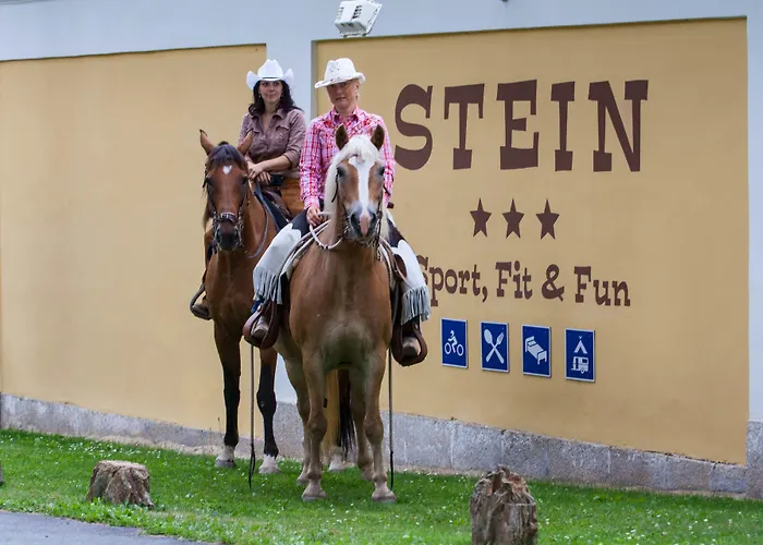 Stein Hotel 3*